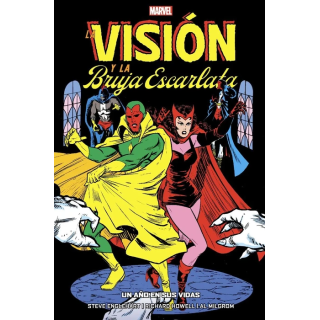 La Vision Y La Bruja Escarlata.  Un Año En Sus Vidas