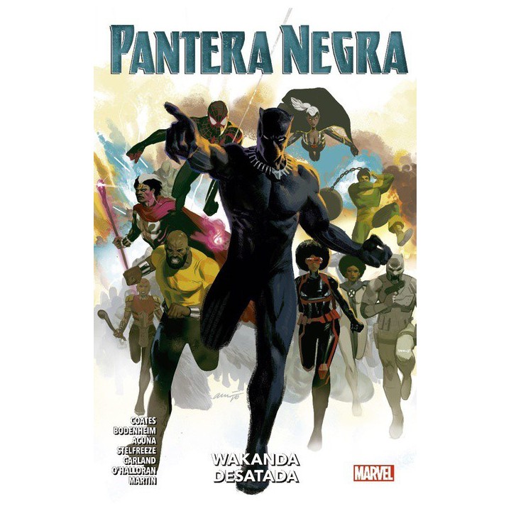 Pantera Negra 04. Wakanda Desatada