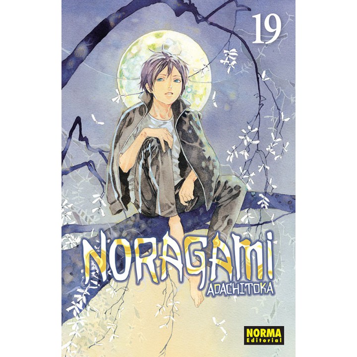 Noragami 19
