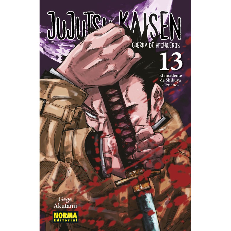 Jujutsu Kaisen 13