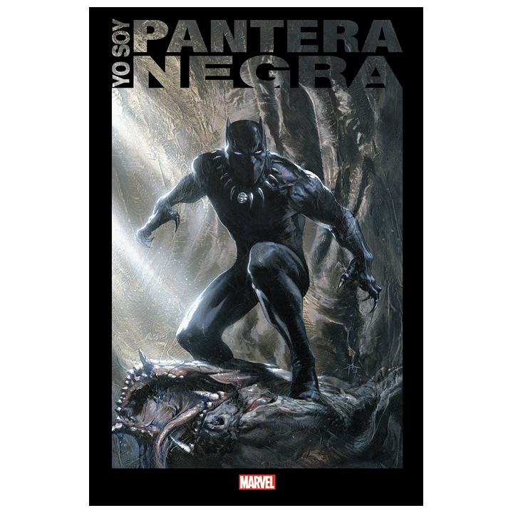 Yo Soy Pantera Negra