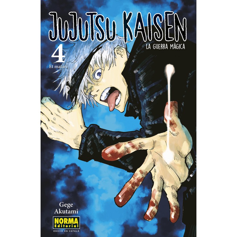 Jujutsu Kaisen 4 (Ed. Català)