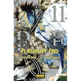 Platinum End 11