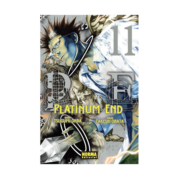 Platinum End 11