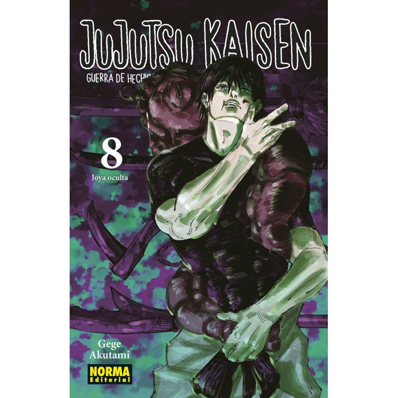 Jujutsu Kaisen 8