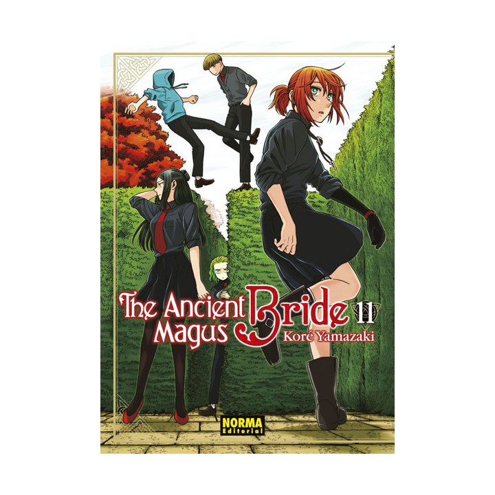 The Ancient Magus Bride 11