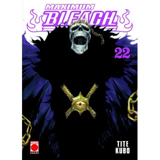 Bleach Maximum 22