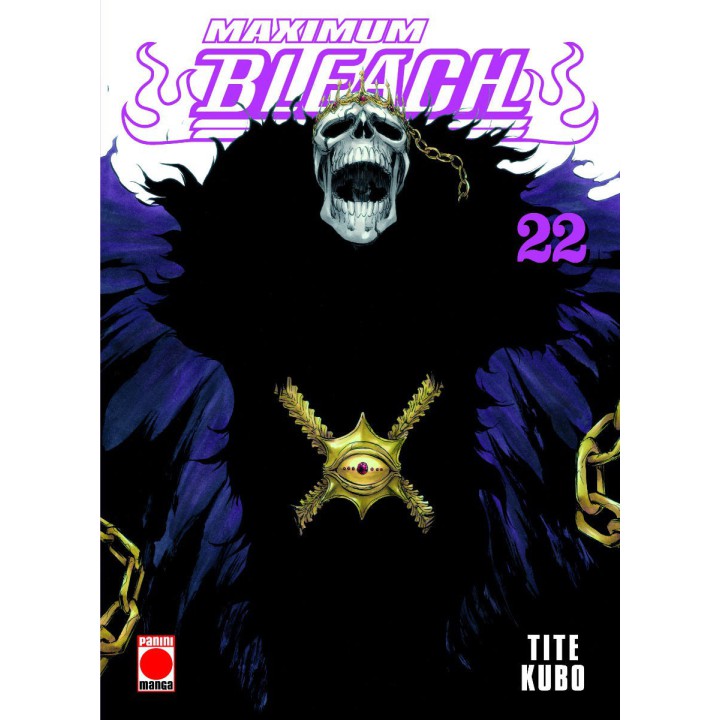 Bleach Maximum 22