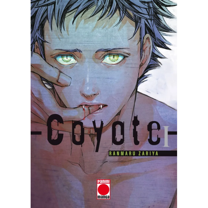 Coyote N 1