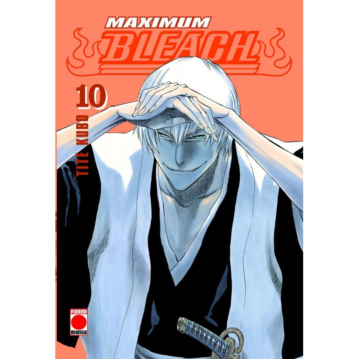 Bleach Maximum 10