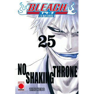 Bleach Bestseller 25