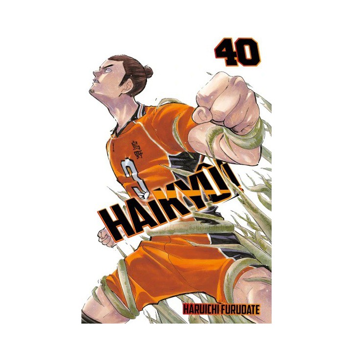 Haikyû!! nº 40/45