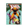 Biblioteca Marvel. X-Men 16