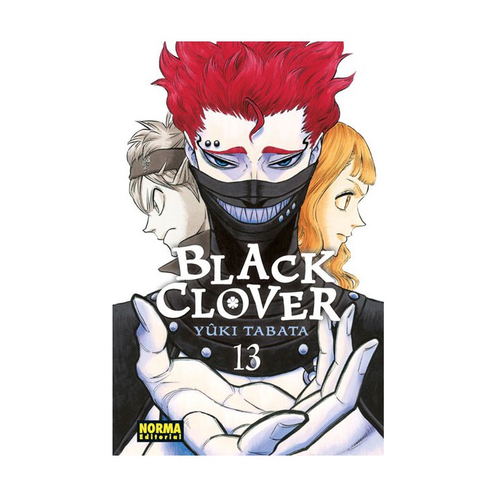 Black Clover 13