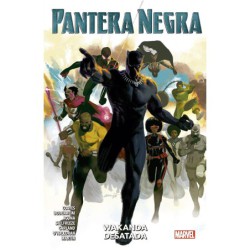Pantera Negra 04. Wakanda Desatada