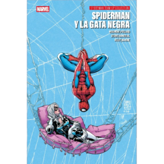 Spiderman y la Gata Negra