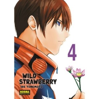 Wild Strawberry 4