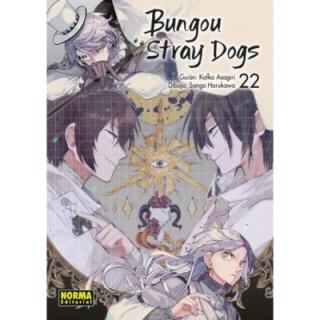 Bungou Stray Dogs 22