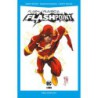 Flash: Rumbo a Flashpoint (DC Pocket)