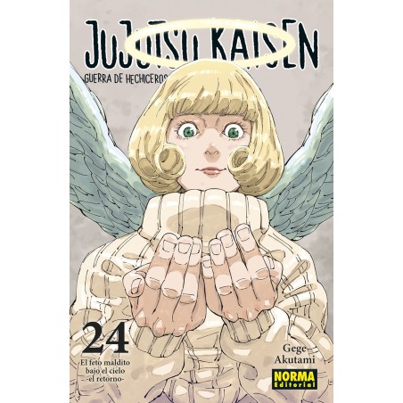 Jujutsu Kaisen 24