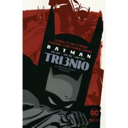 Batman: Trienio - El origen del hombre murciélago