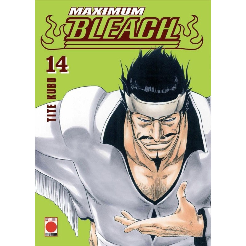 Maximum Bleach 14
