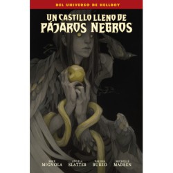 Un Castillo Lleno De Pájaros Negros