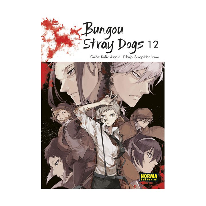 Bungou Stray Dogs 12