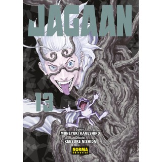 Jagaan 13