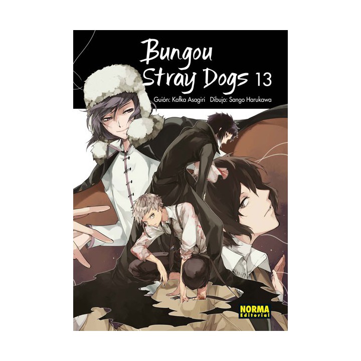 Bungou Stray Dogs 13
