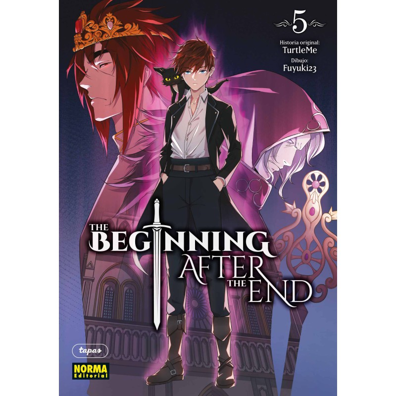 The Beginning After The End 5