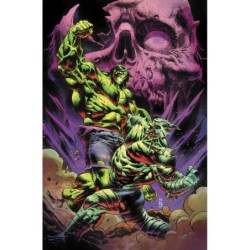 El increíble Hulk 29