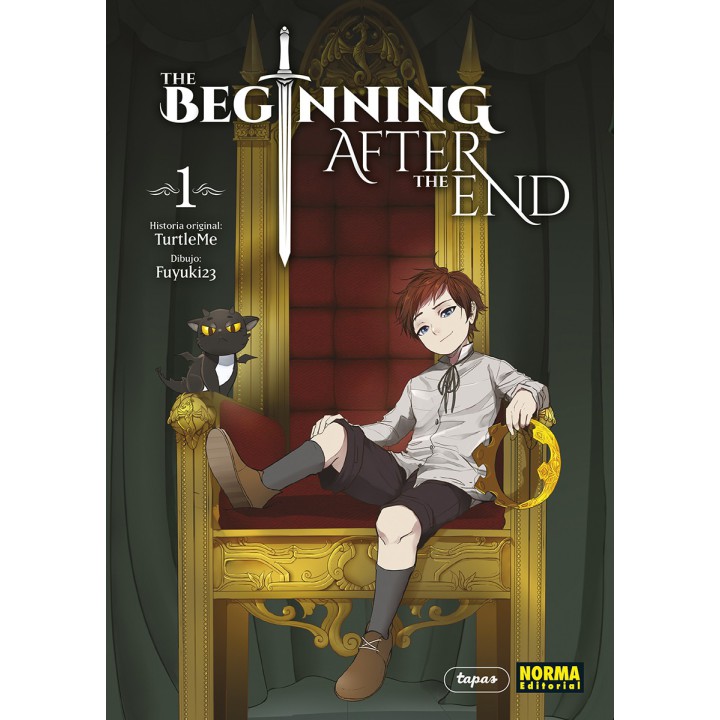 The Beginning After The End 1
