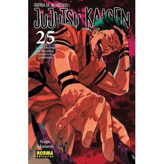 Jujutsu Kaisen 25