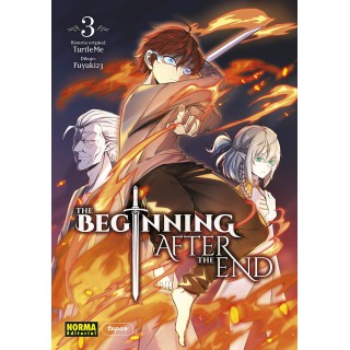 The Beginning After The End 3