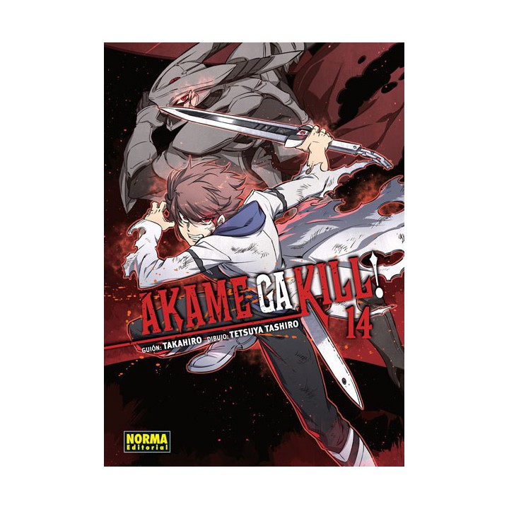 Akame Ga Kill! 14