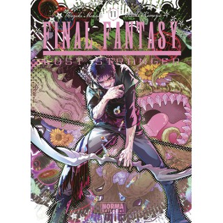 Final Fantasy Lost Stranger 11