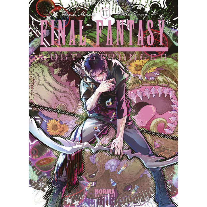 Final Fantasy Lost Stranger 11