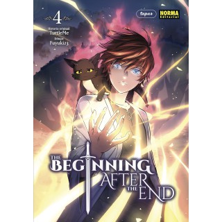 The Beginning After The End 4