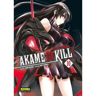 Akame Ga Kill! Zero 10