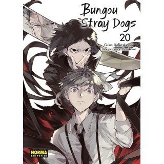 Bungou Stray Dogs 20