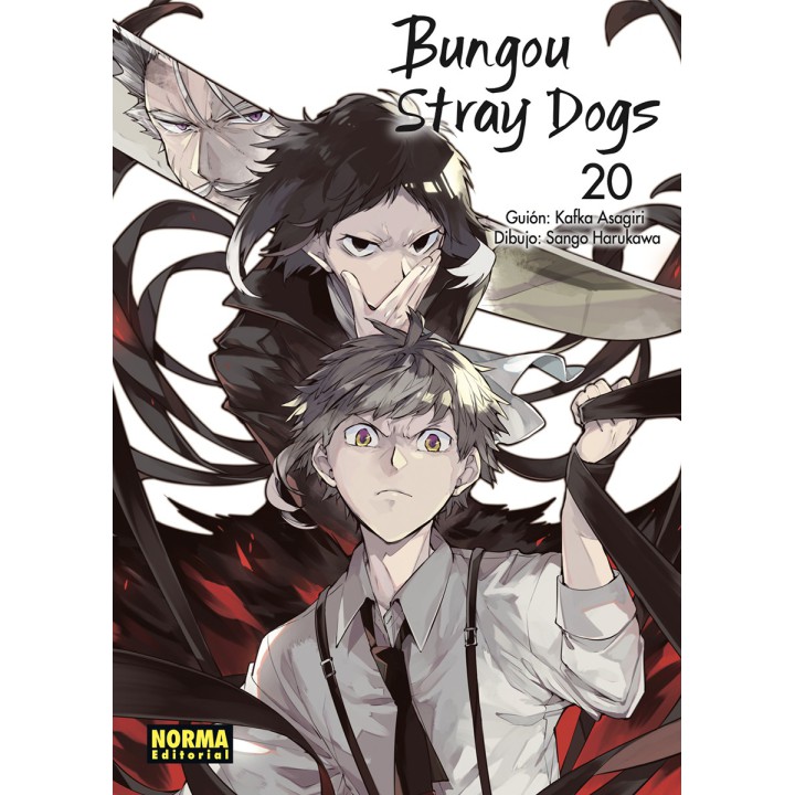 Bungou Stray Dogs 20