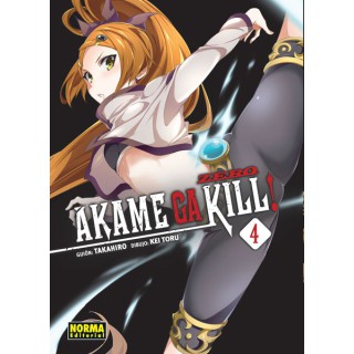 Akame Ga Kill! Zero 4