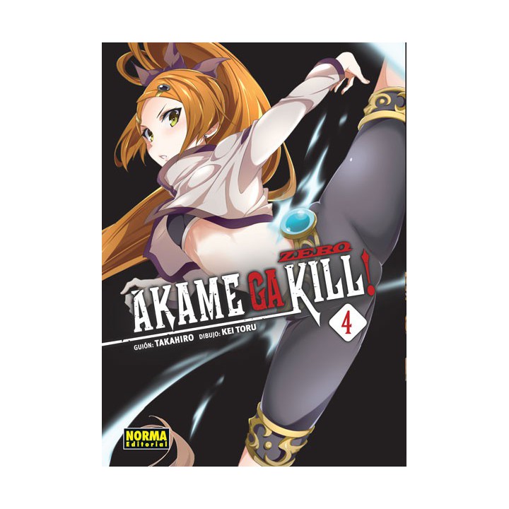 Akame Ga Kill! Zero 4