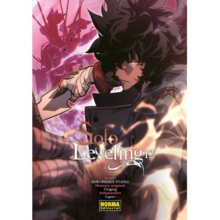 Solo Leveling 12