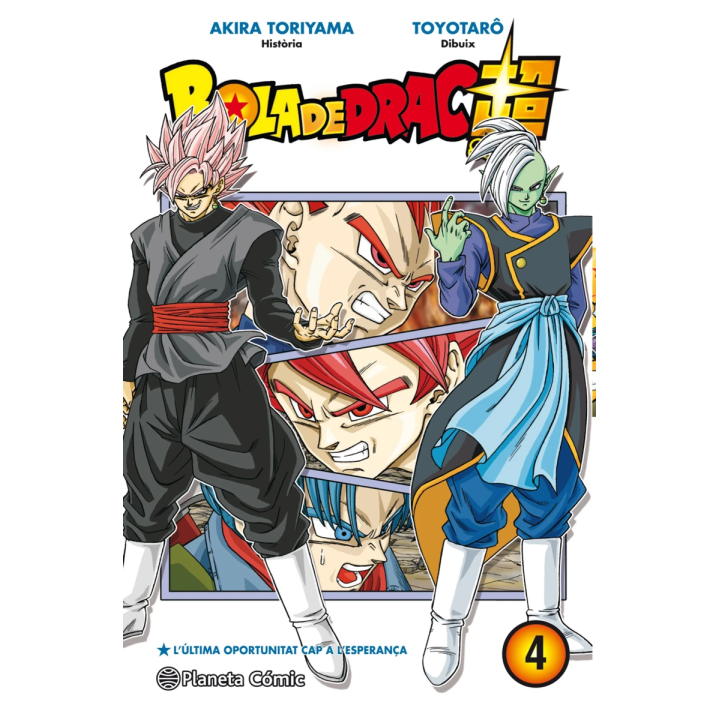 Bola de Drac Super nº 04