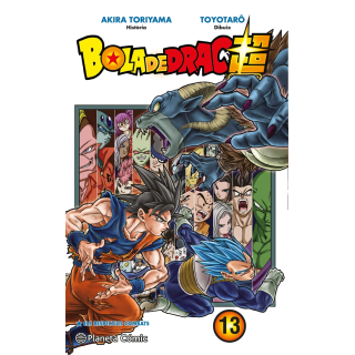 Bola de Drac Super nº 13