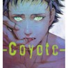 Coyote N 1