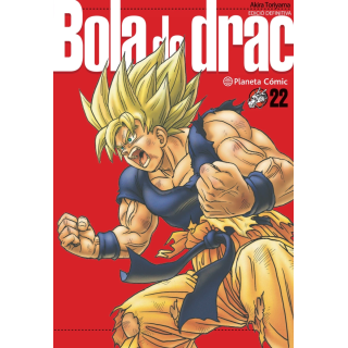 Bola de Drac Definitiva n. 22/34