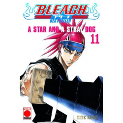 Bleach Bestseller 11